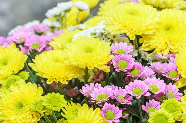 Flores de ramo de crisantemos malva y amarillo, arreglo floral — Foto de Stock