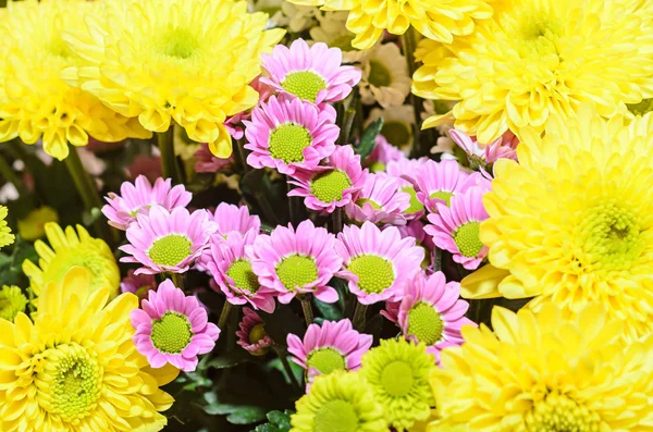 Flores de ramo de crisantemos malva y amarillo, arreglo floral — Foto de Stock