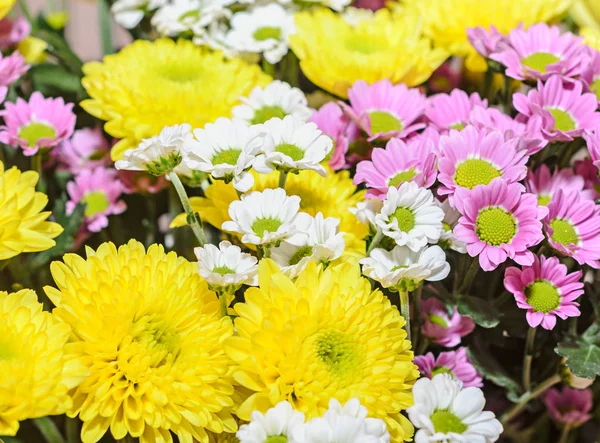 Flores de ramo de crisantemos malva y amarillo, arreglo floral — Foto de Stock