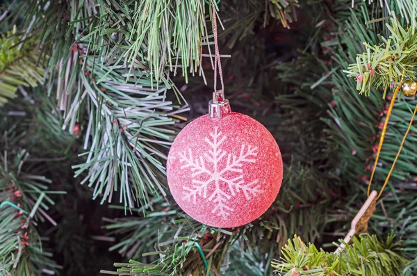 Tannenbaum lebendige farbige Ornamente, Globus hängend — Stockfoto