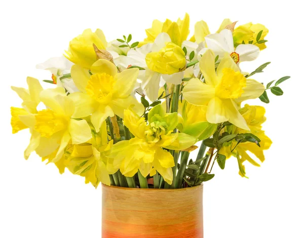 Žluté narcisy (narcissus) květy barevné vázy, zblízka — Stock fotografie