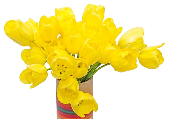 Flores de tulipanes amarillos en un florero de colores vibrantes, de cerca, aislado —  Fotos de Stock