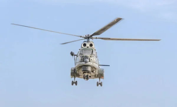 Aerobatic elicopter pilotos formação no céu da cidade. Puma elicopter, marinha, exercício do exército . — Fotografia de Stock