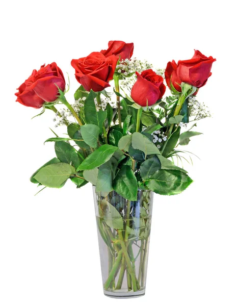 Czerwonych kwiatów róży, zielonych liści, z bliska, na białym tle biały tyłu — Zdjęcie stockowe
