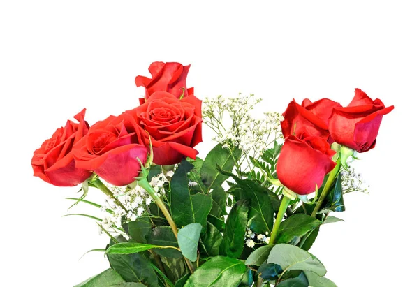 Flores de rosas rojas, hojas verdes, de cerca, aisladas en la espalda blanca — Foto de Stock