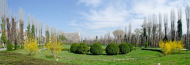 Bucharest, Romanya - 23 Mart 2014. Botanik Bahçesi.