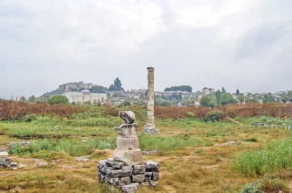 Besuch der Ruinen des Tempels der Artemis, auch bekannt als Tempel der Diana, eines der sieben Weltwunder der Antike. — Stockfoto