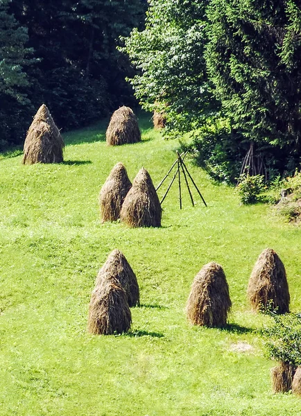 Haystacks Romen dağlarda yeşil sahada — Stok fotoğraf