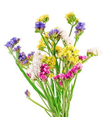 Statice sinuata Kraliyet çiçekler, canlı renkli kır çiçekleri, kapatmak