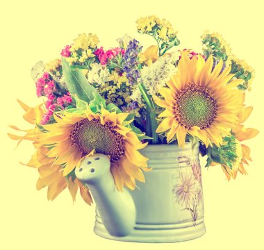 Sarı ayçiçeği ve beyaz bir yağmurlama renkli kır çiçekleri,