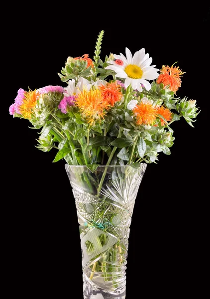 Lebendig gefärbte Wildblumen, Safranblüten, Gänseblümchen, Nahaufnahme, isoliert — Stockfoto