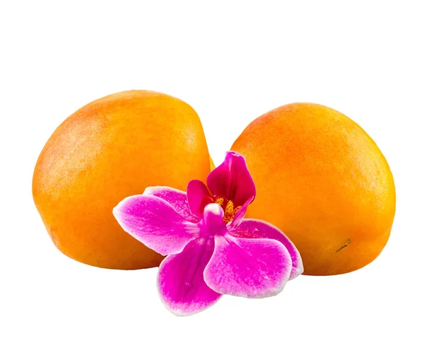 橘黄色杏子与紫色兰花，孤立，切 — 图库照片