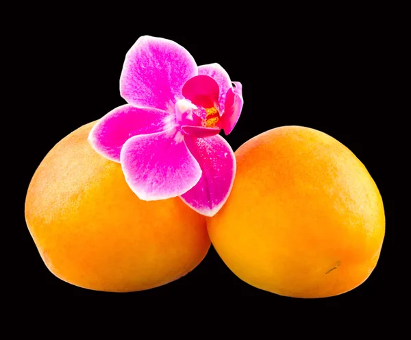 Жовто-оранжеві абрикоси з фіолетовою квіткою орхідей, ізольовані, вирізані — стокове фото