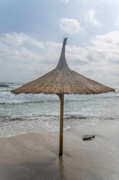 Kum ve su, deniz tarafında bir plajda saman şemsiye.
