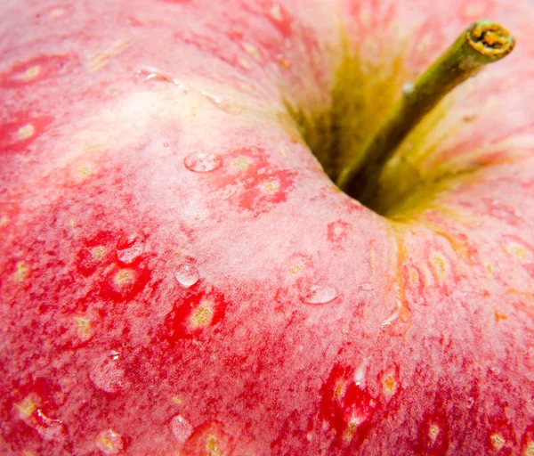 Detalhe maçã vermelha, close-up, gotas de água Imagens Royalty-Free