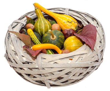 Eski hasır sepet beyaz geri izole, Bebek kabak ile doldurulmuş