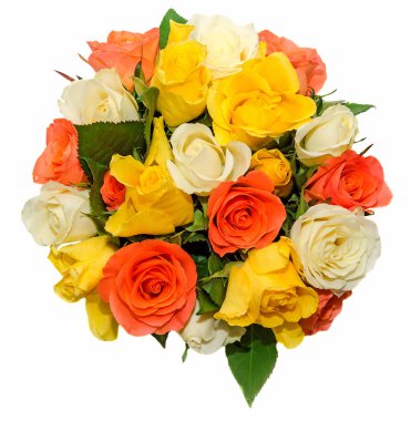 Beyaz, turuncu ve Sarı Gül çiçek, Ayrıntılar, yakın çekim. Sevgililer günü gül.