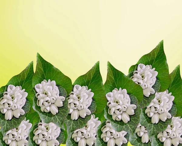 Flores blancas de Galanthus, ramo, arreglo floral (nevada, flor de la leche ) —  Fotos de Stock