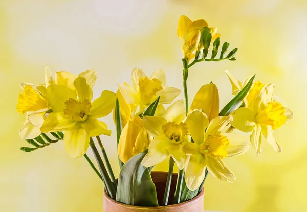 Narcisos amarillos y flores de freesias en un jarrón de colores, de cerca —  Fotos de Stock