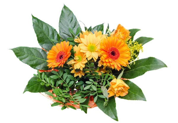 Orangefarbene Chrysanthemenblüte, auch Mamas oder Chrysanthen genannt — Stockfoto