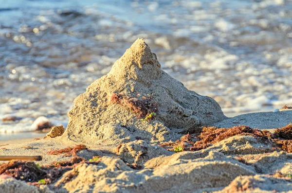 Strand Sand in Küstennähe, Nahaufnahme — Stockfoto