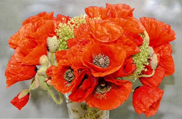 장 rhoeas 꽃다발, 옥수수 필드 양 귀 비의 야생 꽃 — 스톡 사진