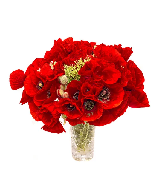 Красные дикие цветы Папавера роя в прозрачной вазе вблизи — стоковое фото