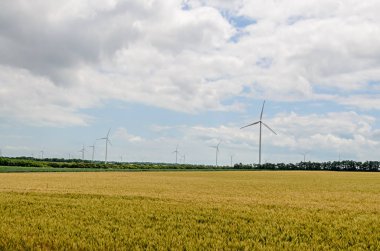 Eolian field and wind turbines farm, near yellow fllowers field, clipart