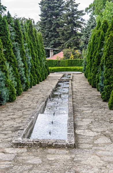 Ботанічний сад з зеленими сосновими деревами та водними декоративними фонтанами . — стокове фото