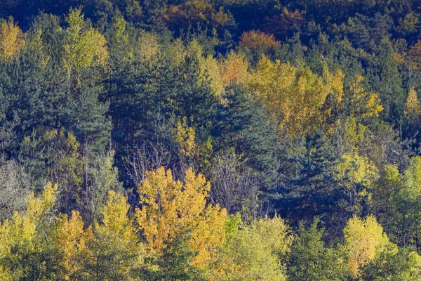 Herfst — Stockfoto