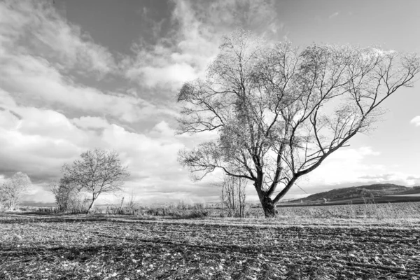 Outono e Natureza — Fotografia de Stock