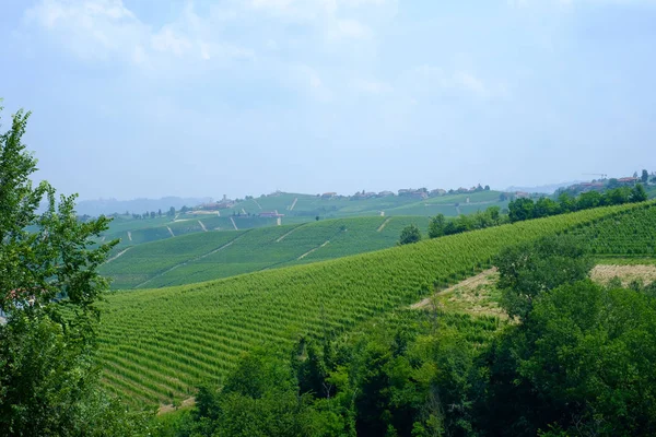 Yaz manzara Langhe Hills, Piedmont