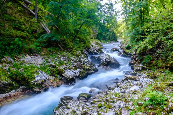 Soteska vintgar, Slovenya (The Vintgar Gorge veya Ble, şelale
