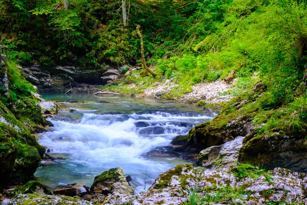 Soteska vintgar, Slovenya (The Vintgar Gorge veya Ble, şelale