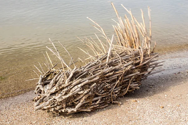 Agarrar na areia perto da água fechar — Fotografia de Stock