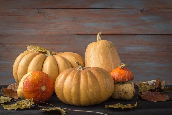 Bodegón de otoño con calabazas amarillas —  Fotos de Stock