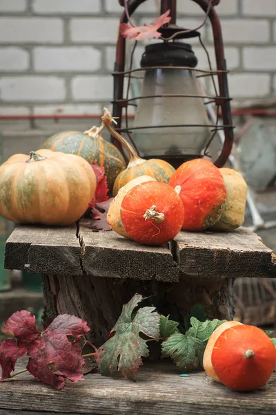 Açık havada hala hayat dekoratif kabaklar ve vintage bir fener ile