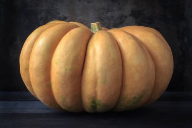 Sadece bir kabak koyu arka plan üzerinde