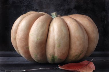 Kabak ve yaprakları koyu arka plan üzerinde