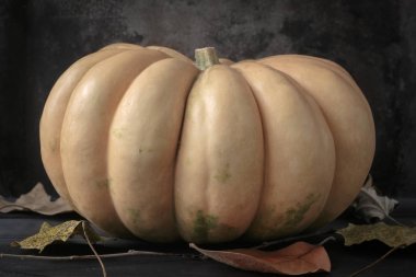 Kabak ve koyu arka plan üzerinde sonbahar yaprakları