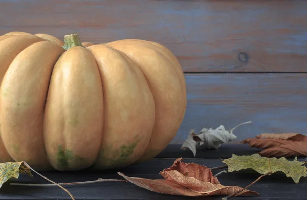 Still life with pumpkin and autumn leaves — Stock Photo, Image