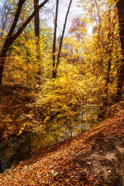 Outono lindo em um parque da cidade — Fotografia de Stock