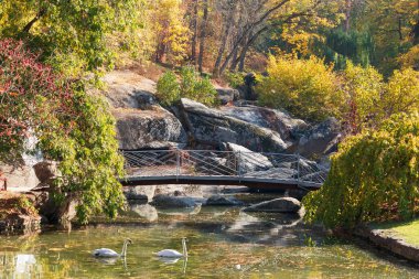 sonbaharda Botanik Bahçesi.