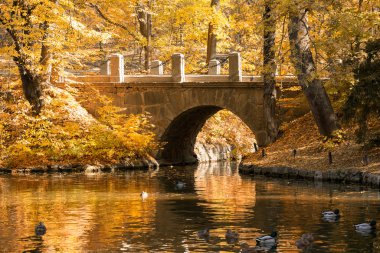 Ulusal Park 'ta sonbahar manzarası. Sofievka, Ukrayna