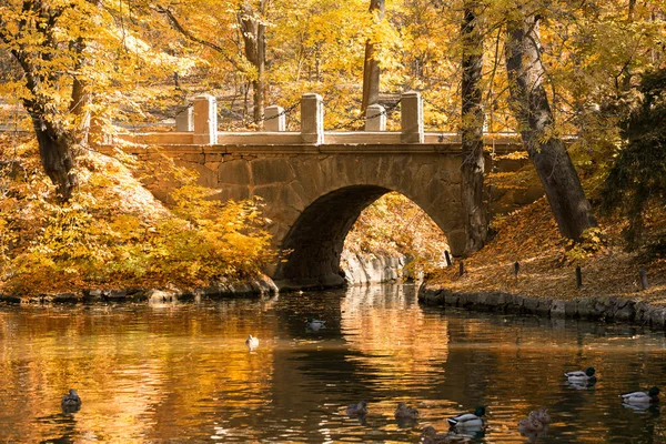 Cenário de outono no Parque Nacional. Sofievka, Ucrânia Imagem De Stock