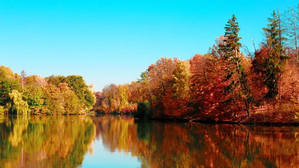 호수와 숲의 해안선 이 있는 가을 풍경 스톡 사진