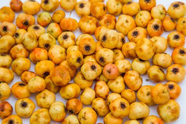 izole, beyaz arka plan, oyma, daire, sabah