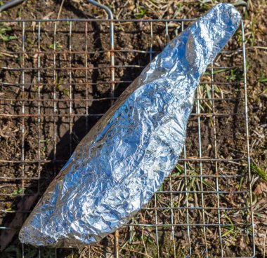 Bir kafes folyo üzerinde balık