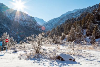 Kış manzarası dağları