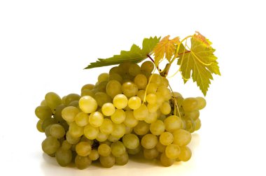 Beyaz arka plan üzerinde izole yaprakları ile beyaz, Yeşil üzüm meyve
